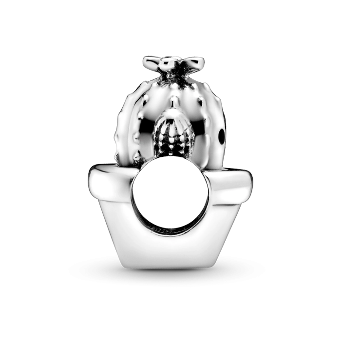 Charm Pandora Moments