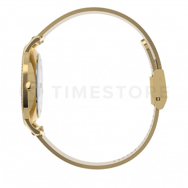 Timex City Collection