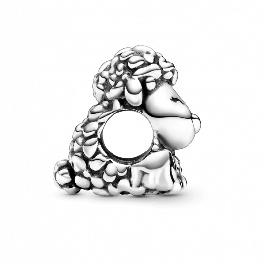 Charm Pandora Moments