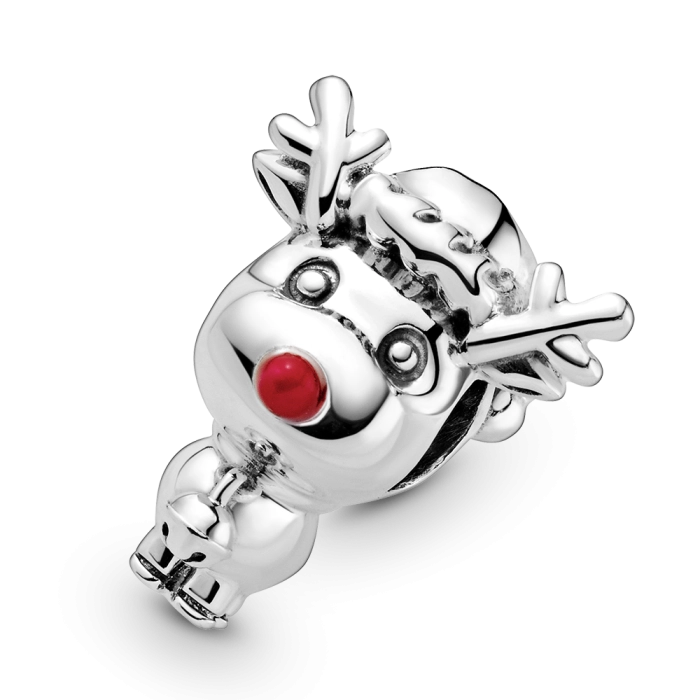 Charm Pandora Moments