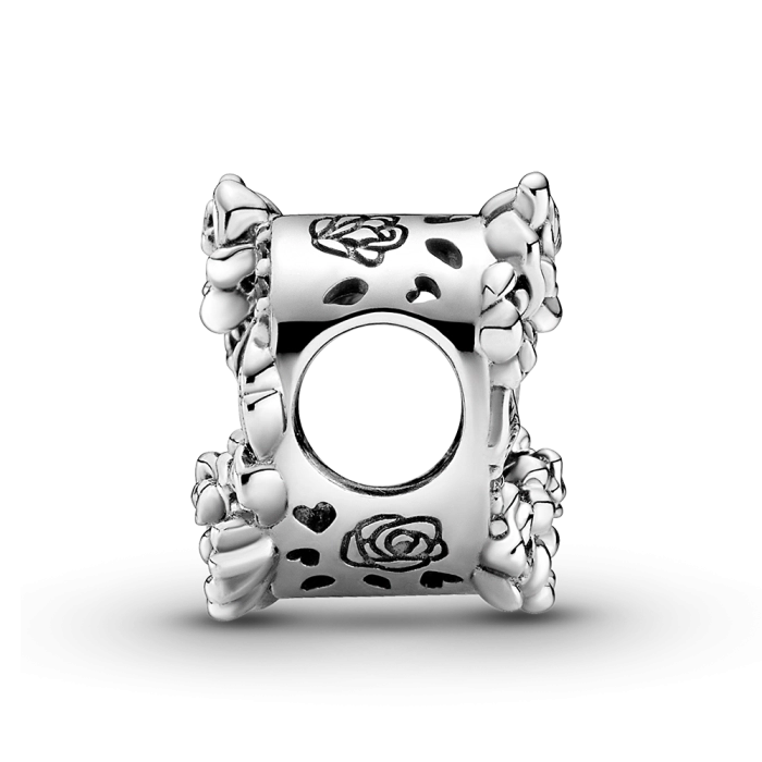 Charm Pandora Moments