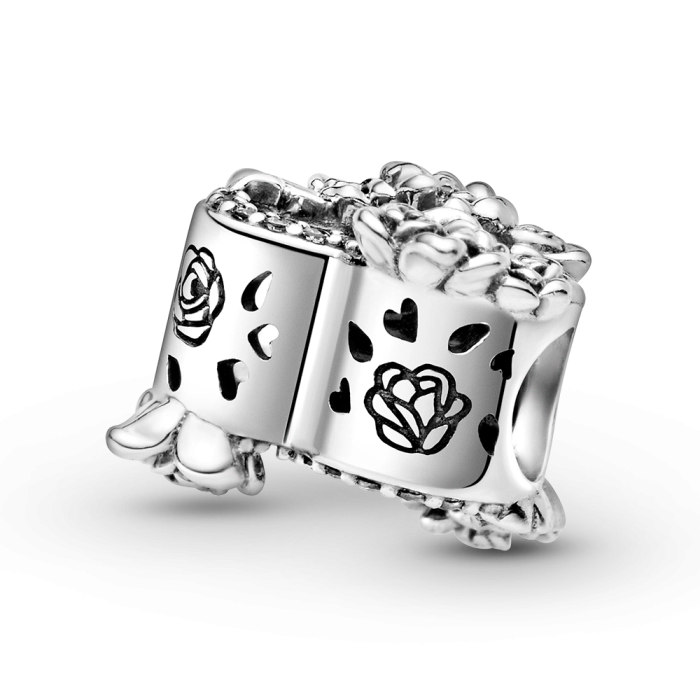 Charm Pandora Moments