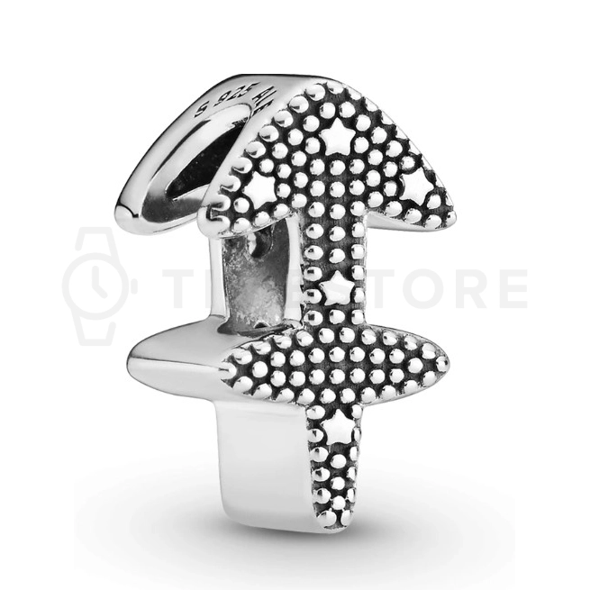 Charm Pandora Moments