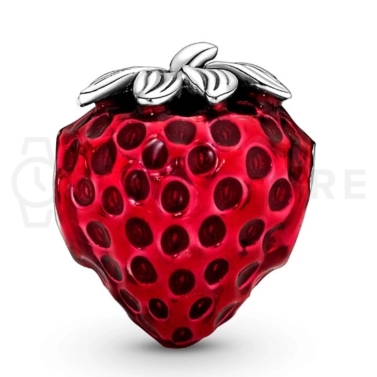 Charm Pandora Moments