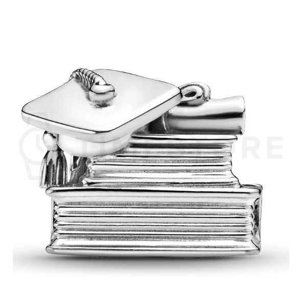 Charm Pandora Moments