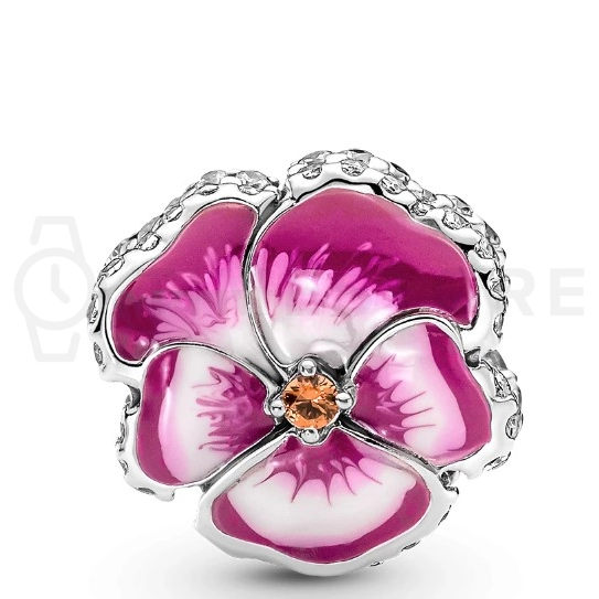 Charm Pandora Moments