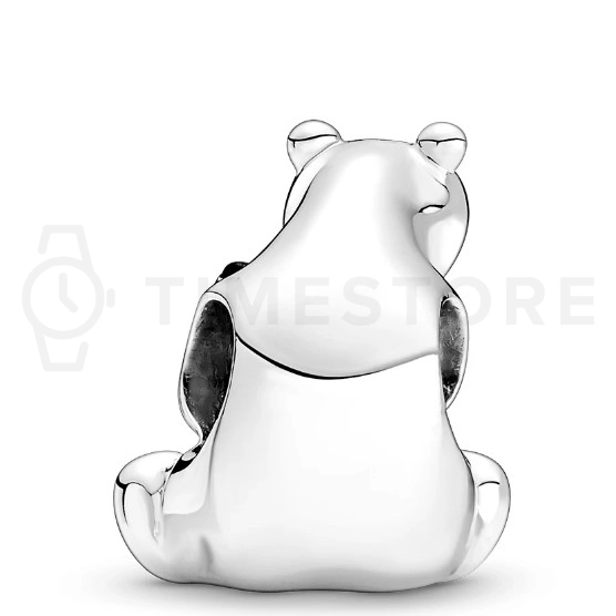 Charm Pandora Moments