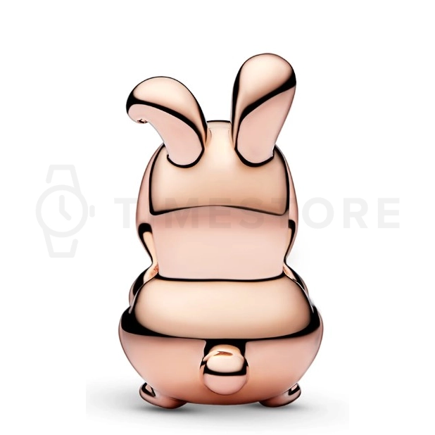 Abalorio Pandora Moments