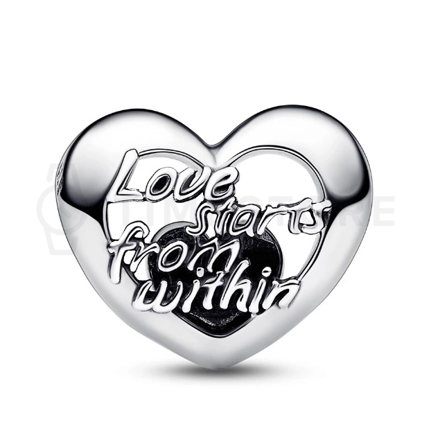 Charm Pandora Moments