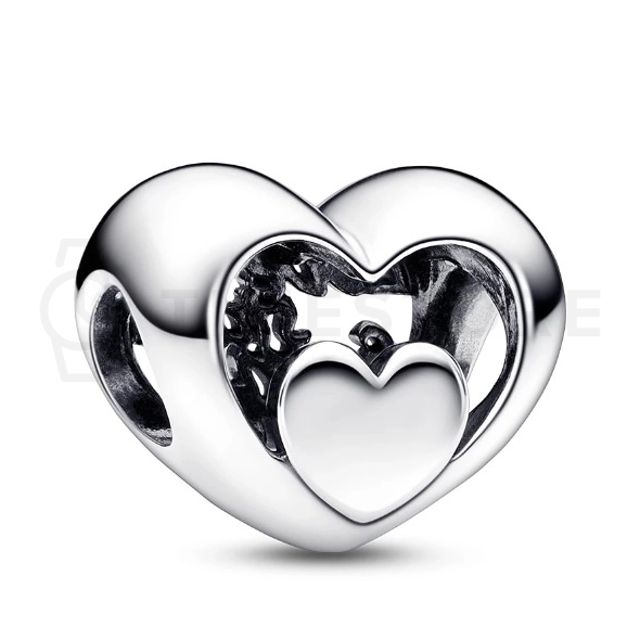 Charm Pandora Moments