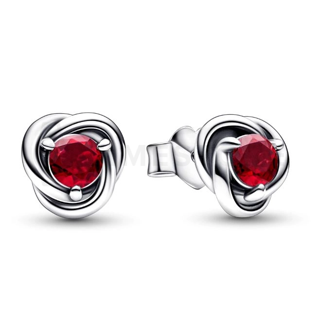 Orecchini Pandora Moments