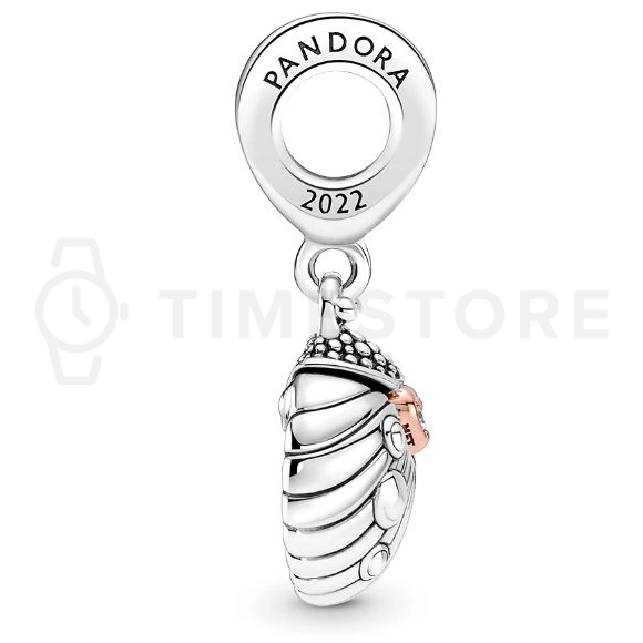 Obesek Pandora Moments