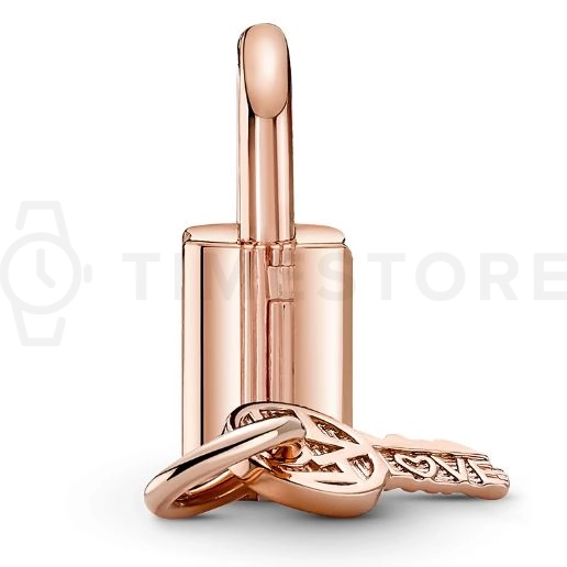 Přívěšek Pandora Moments