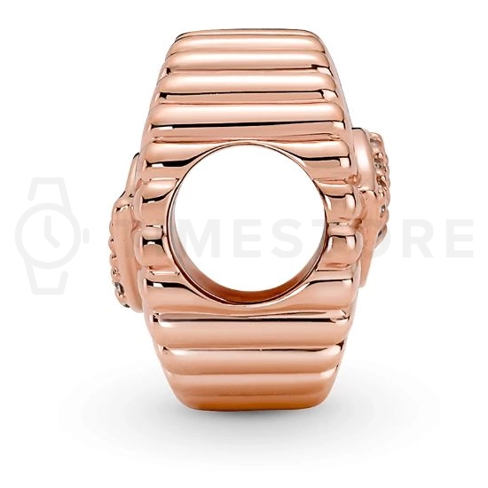 Charm Pandora Moments