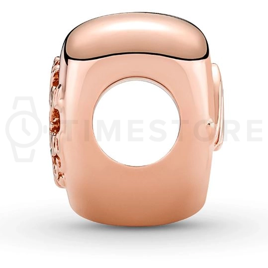 Charm Pandora Moments