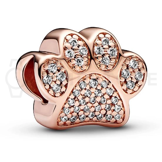 Charm Pandora Moments