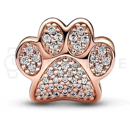 Charm Pandora Moments