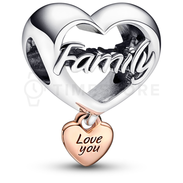 Charm Pandora Moments