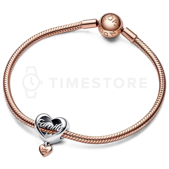 Charm Pandora Moments