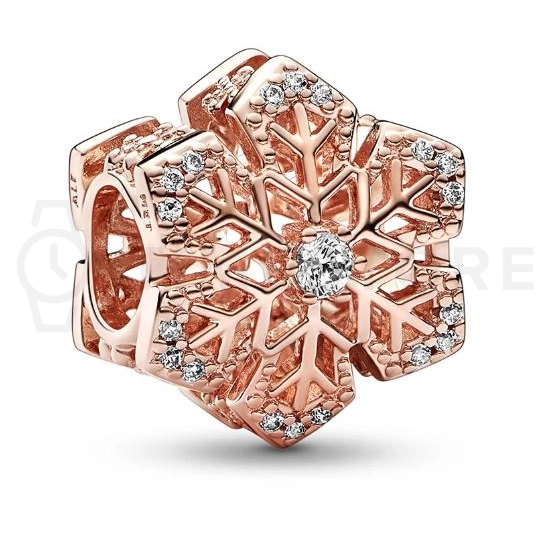 Charm Pandora Moments