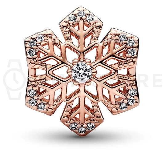 Charm Pandora Moments