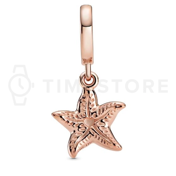 Pandantiv Pandora Moments