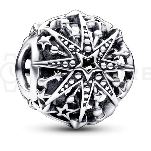 Charm Pandora Moments