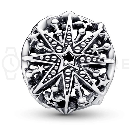 Charm Pandora Moments