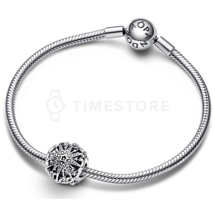 Charm Pandora Moments