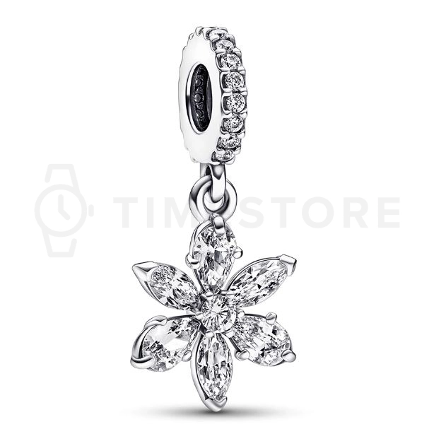 Pandora Timeless medál