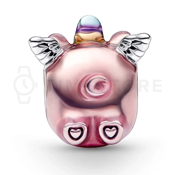 Charm Pandora Moments