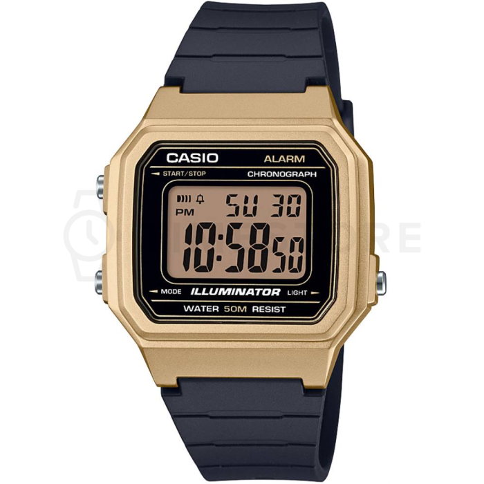 Casio Collection