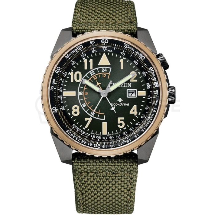 Citizen Promaster