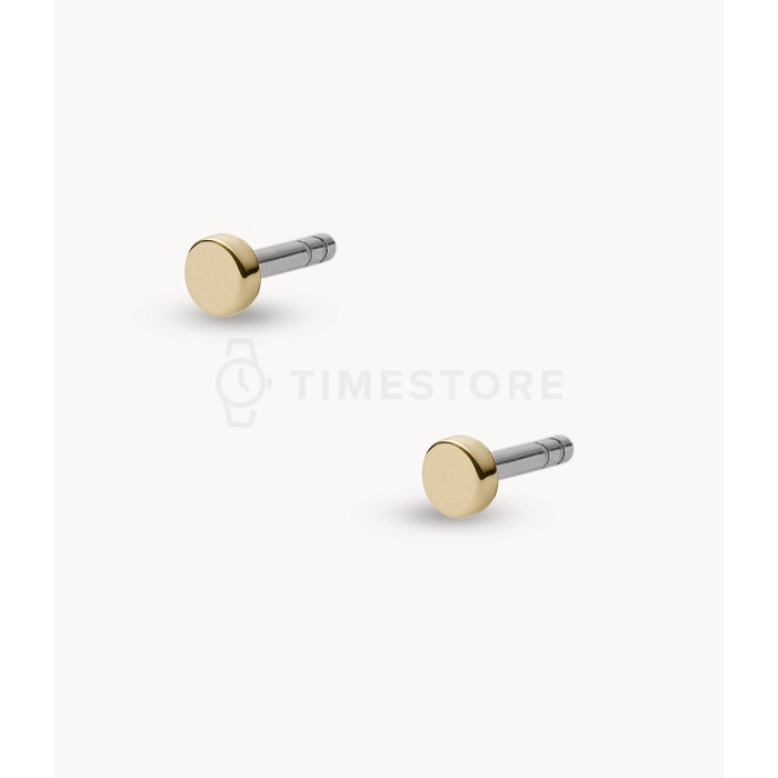 Fossil All Stacked Up