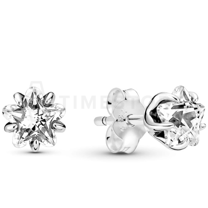 Pendientes Pandora Moments