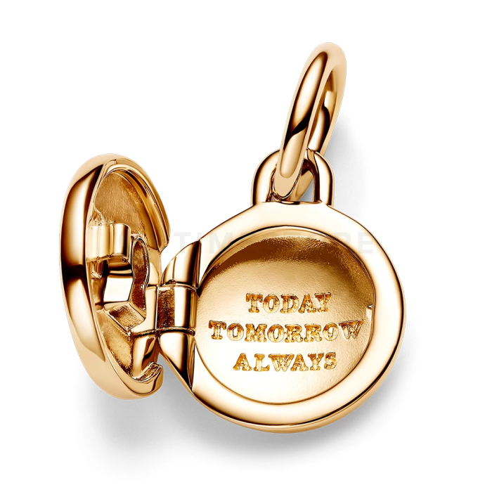 Obesek Pandora Moments