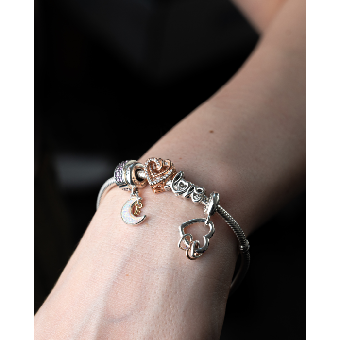 Charm Pandora Moments