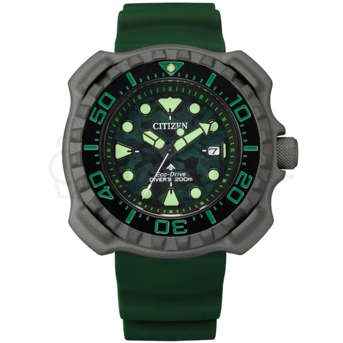 Citizen Promaster