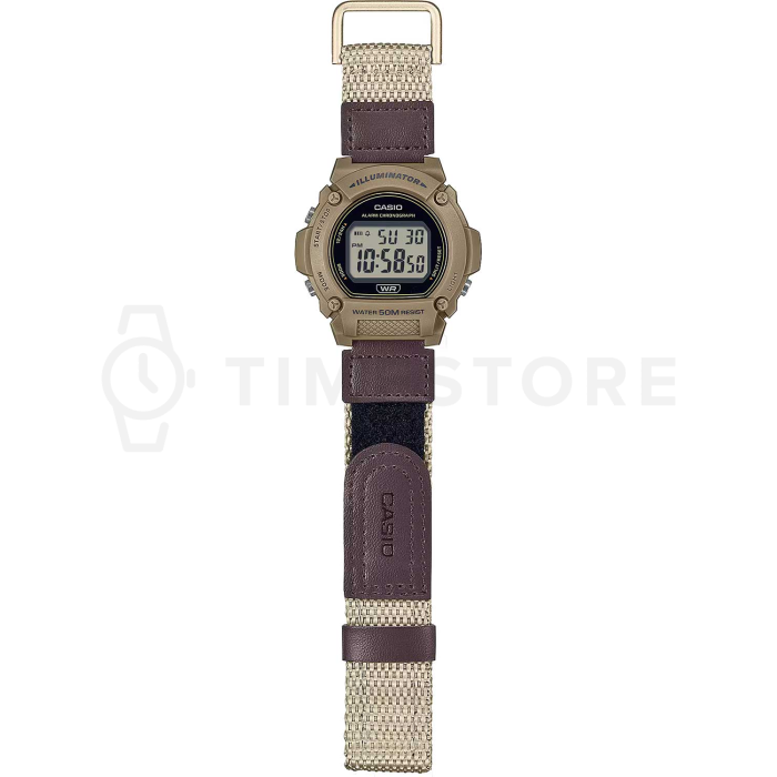Casio Collection