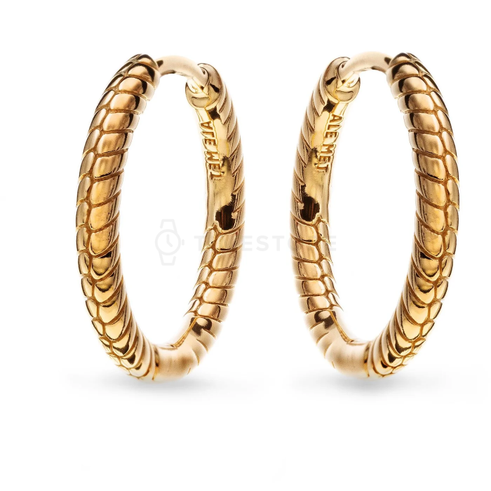 Uhani Pandora Moments