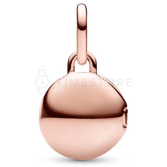 Colgante Pandora Moments