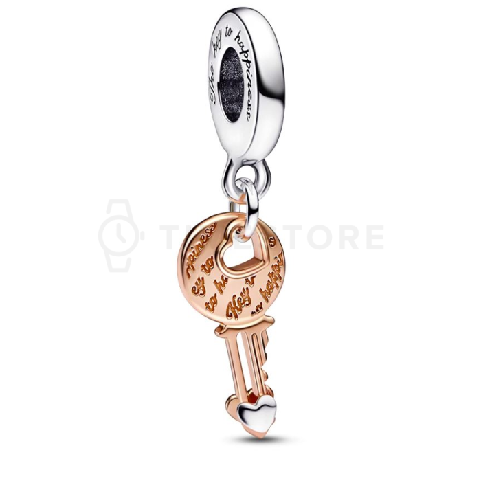 Charm Pandora Moments