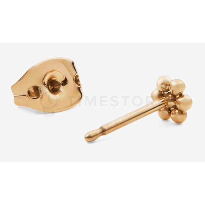 Cercel single Daniel Wellington