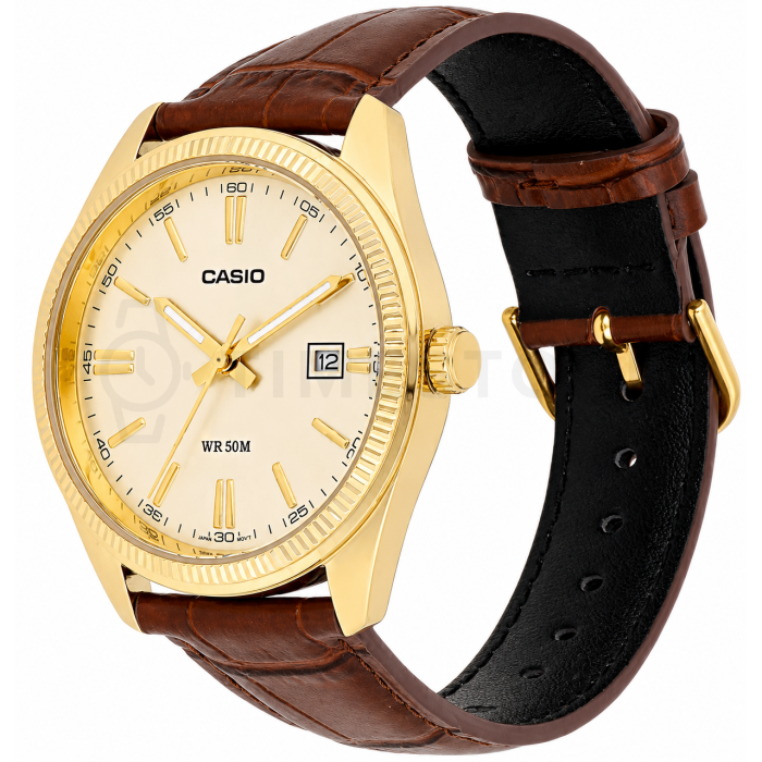Casio Collection