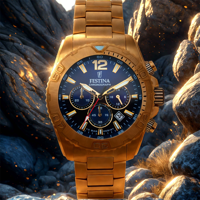 Festina Timeless Chronograph
