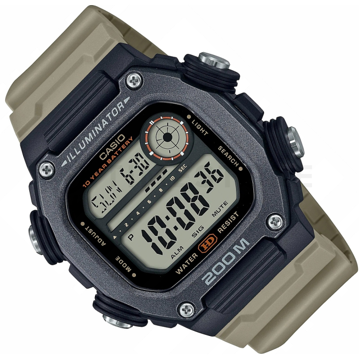 Casio Classic