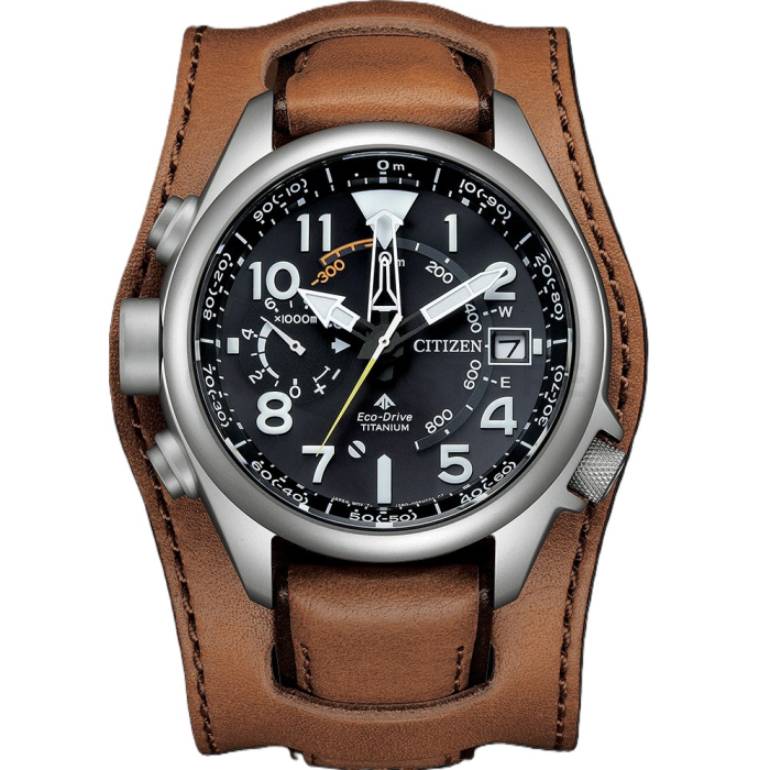 Citizen Promaster