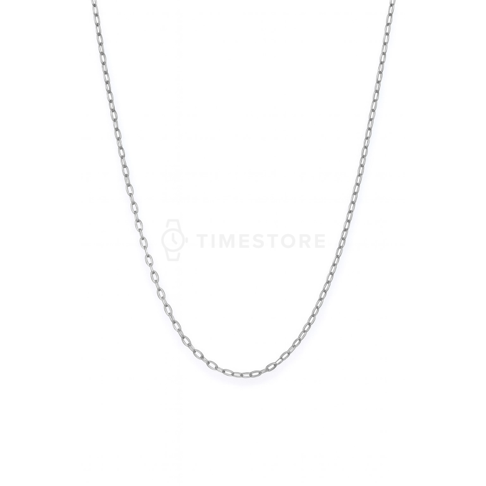 Catena d'argento, design delicato