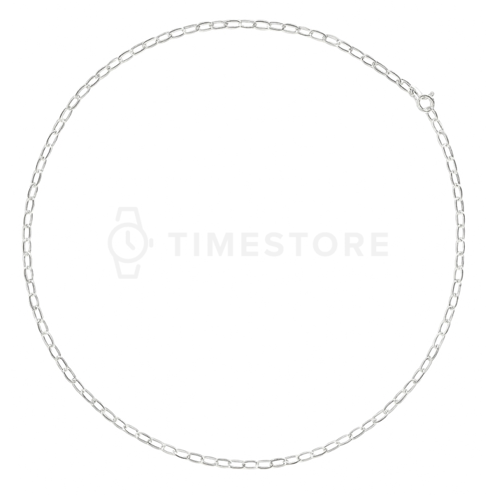 Lanț din argint, design delicat