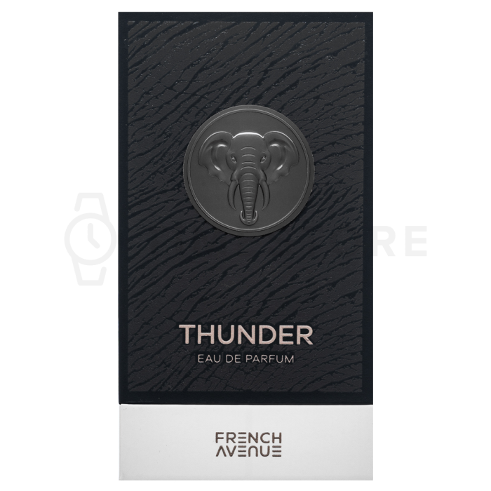 French Avenue Thunder parfémovaná voda pre mužov 100 ml